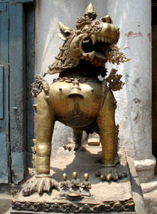 Lion